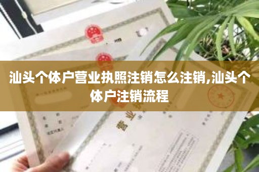 汕头个体户营业执照注销怎么注销,汕头个体户注销流程
