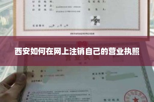 西安如何在网上注销自己的营业执照