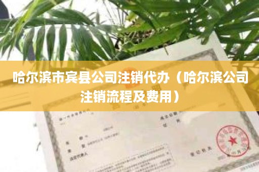 哈尔滨市宾县公司注销代办（哈尔滨公司注销流程及费用）