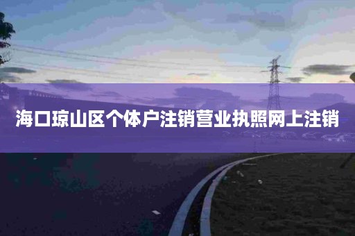 海口琼山区个体户注销营业执照网上注销