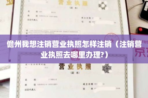 儋州我想注销营业执照怎样注销（注销营业执照去哪里办理?）