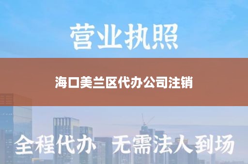 海口美兰区代办公司注销