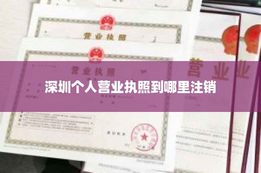 深圳个人营业执照到哪里注销