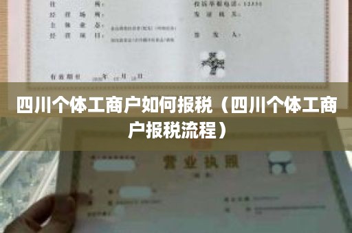四川个体工商户如何报税（四川个体工商户报税流程）