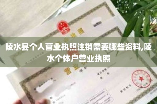 陵水县个人营业执照注销需要哪些资料,陵水个体户营业执照