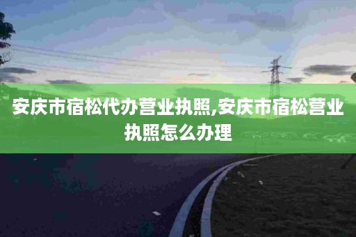 安庆市宿松代办营业执照,安庆市宿松营业执照怎么办理