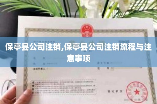 保亭县公司注销,保亭县公司注销流程与注意事项